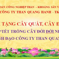 Than Quang Hanh kêu gọi tặng cây hưởng ứng “Tết trồng cây đời đời nhớ ơn Bác Hồ”